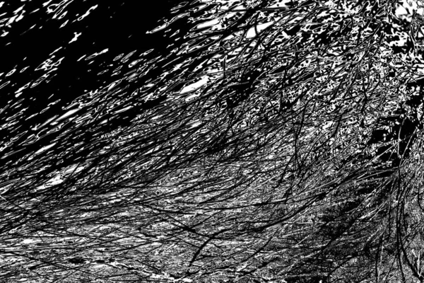 Sfondo Astratto Struttura Monocromatica Bianco Nero Sfondo Strutturato — Foto Stock