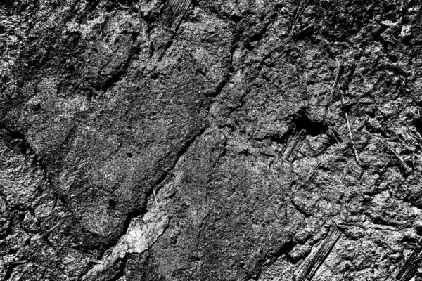 Old Wall Texture Black White Abstract Background — Stock Photo, Image