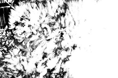 İşlemde koyun yünü