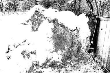  Arka planda talaş ve kar