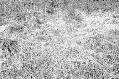 Soyut arkaplan. Monokrom dokusu. Siyah ve beyaz desenli arkaplan