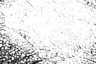 Polistiren köpük yakın plan. Bir sürü küçük ve büyük kabarcıklar stiroköpük doku arkaplanı.