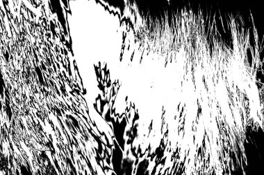 Soyut arkaplan. Monokrom dokusu. Siyah ve beyaz desenli arkaplan 