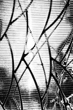 Yeşil sayfa dokusu arkaplanı.