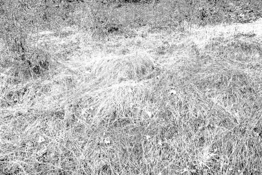 Soyut arkaplan. Monokrom dokusu. Siyah ve beyaz desenli arkaplan