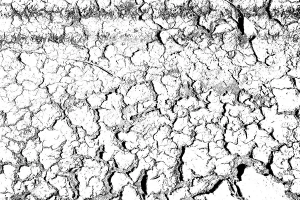 乾燥した地球での収縮と脱離の亀裂 土壌中の水が不足しているため 地球温暖化の概念 気候温暖化乾燥した土地を切り取った — ストック写真