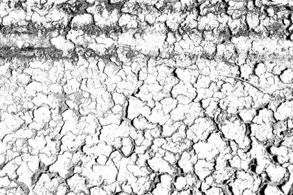 Contração Rachaduras Dessecação Terra Seca Por Causa Falta Água Solo — Fotografia de Stock