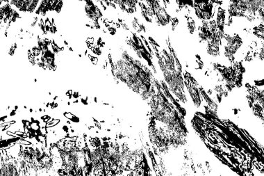 Soyut arkaplan. Monokrom dokusu. Siyah ve beyaz desenli arkaplan