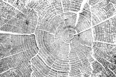 Soyut arkaplan. Monokrom dokusu. Siyah ve beyaz desenli arkaplan