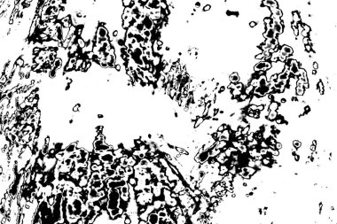 Soyut arkaplan. Monokrom dokusu. Siyah ve beyaz desenli arkaplan