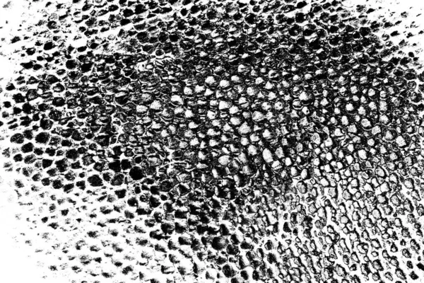 Contexte Abstrait Texture Monochrome Fond Texturé Noir Blanc — Photo