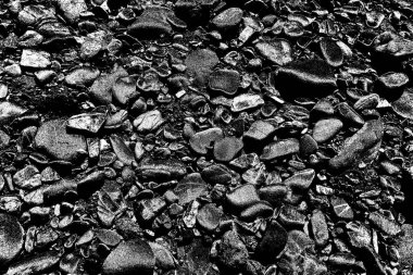 Doğada kayalık yol