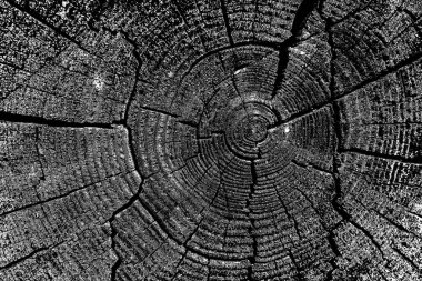 Soyut arkaplan. Monokrom dokusu. Siyah ve beyaz desenli arkaplan