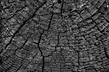 Soyut arkaplan. Monokrom dokusu. Siyah ve beyaz desenli arkaplan