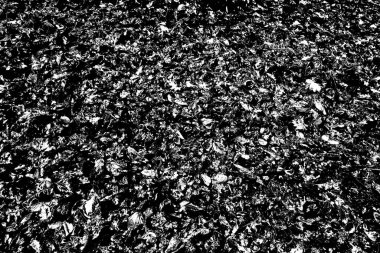 Yere düşen sarı yapraklar