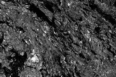 Soyut arkaplan. Monokrom dokusu. Siyah ve beyaz desenli arkaplan