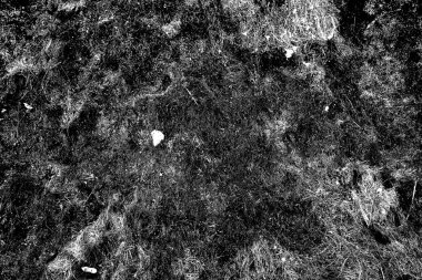 Soyut arkaplan. Monokrom dokusu. Siyah ve beyaz desenli arkaplan