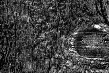 Soyut arkaplan. Monokrom dokusu. Siyah ve beyaz desenli arkaplan 