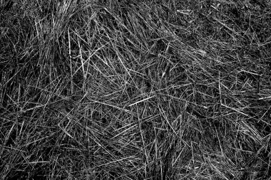 Soyut arkaplan. Monokrom dokusu. Siyah ve beyaz desenli arkaplan