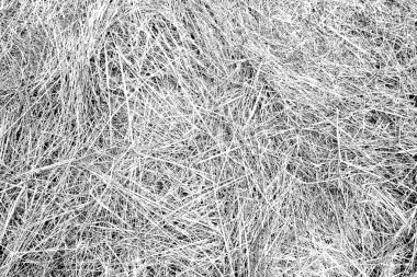 Soyut arkaplan. Monokrom dokusu. Siyah ve beyaz desenli arkaplan