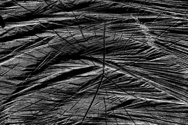 Soyut arkaplan. Monokrom dokusu. Siyah ve beyaz desenli arkaplan