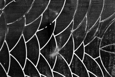 Soyut arkaplan. Monokrom dokusu. Siyah ve beyaz desenli arkaplan