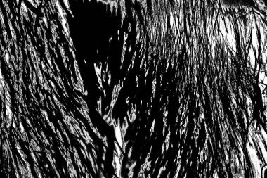 Soyut arkaplan. Monokrom dokusu. Siyah ve beyaz desenli arkaplan