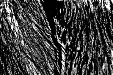 Soyut arkaplan. Monokrom dokusu. Siyah ve beyaz desenli arkaplan