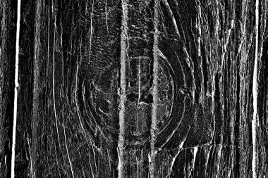 Eski ahşap dokusu. Yıpranmış bir odun parçası. Eski odunların arka planı.