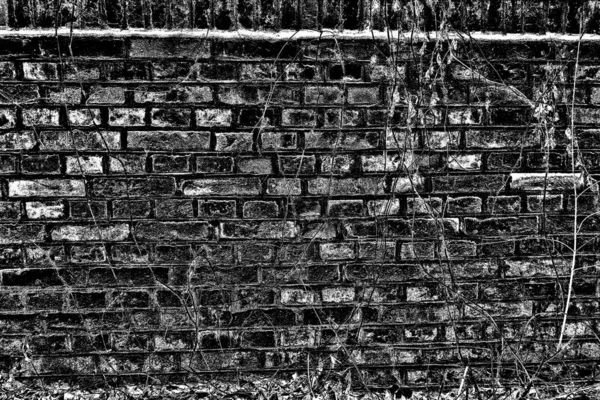 Tekstur Latar Belakang Dari Dinding Bata — Stok Foto