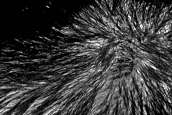 Fondo Abstracto Textura Monocromática Fondo Texturizado Blanco Negro —  Fotos de Stock