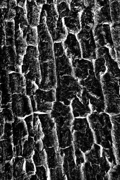 Fondo Abstracto Textura Monocromática Fondo Texturizado Blanco Negro —  Fotos de Stock