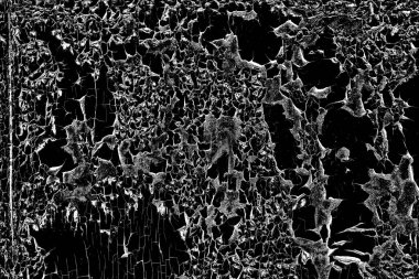 Duvar dokusu arkaplanı eski boyayla soyulmuş