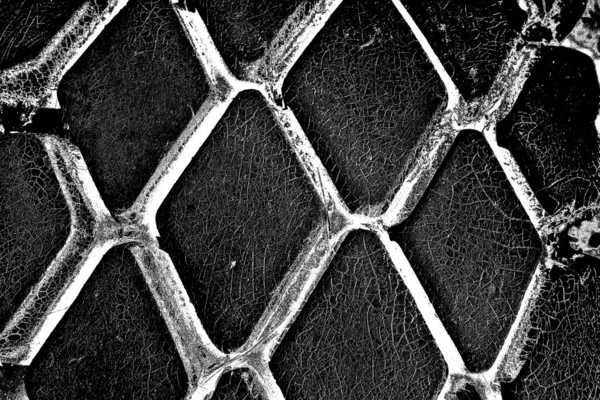 Verniciato Auto Pneumatico Close Texture Sfondo — Foto Stock