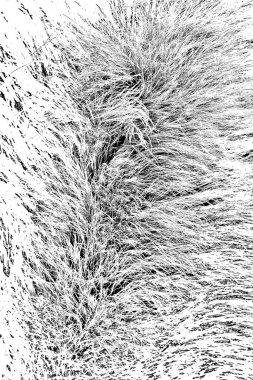 Soyut arkaplan. Monokrom dokusu. Siyah ve beyaz desenli arkaplan