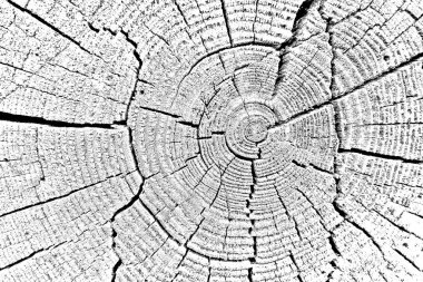 Soyut arkaplan. Monokrom dokusu. Siyah ve beyaz desenli arkaplan