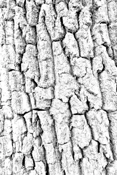 Abstracte Achtergrond Monochrome Textuur Zwart Wit Textuur Achtergrond — Stockfoto