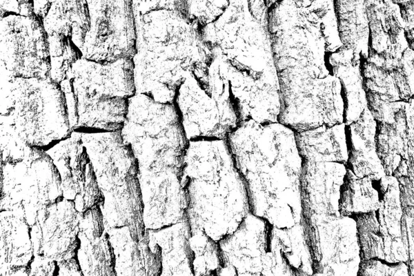 Fondo Abstracto Textura Monocromática Fondo Texturizado Blanco Negro —  Fotos de Stock