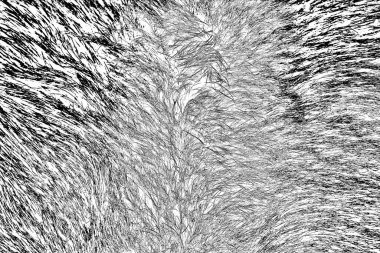 Soyut arkaplan. Monokrom dokusu. Siyah ve beyaz desenli arkaplan