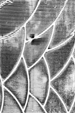 Soyut arkaplan. Monokrom dokusu. Siyah ve beyaz desenli arkaplan