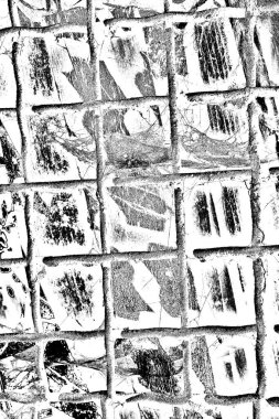 Doğadaki tazelik güzelliğiyle demir örgüsü.