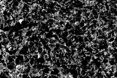 Yere düşen sarı yapraklar