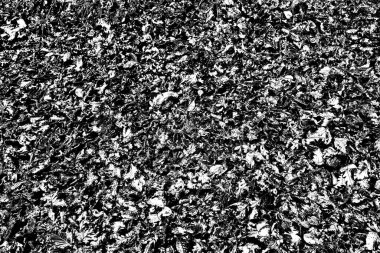 Yere düşen sarı yapraklar