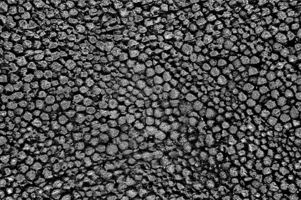 Αφρός Πολυστυρενίου Από Κοντά Πολλές Μικρές Και Μεγάλες Φυσαλίδες Styrofoam — Φωτογραφία Αρχείου