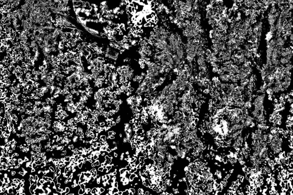 Fondo Abstracto Textura Monocromática Fondo Texturizado Blanco Negro — Foto de Stock