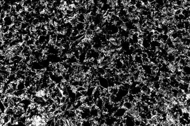 Yere düşen sarı yapraklar