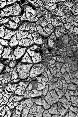 Duvar dokusundan eski boya soyuluyor