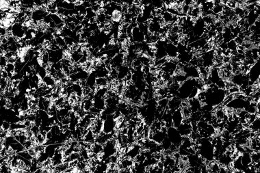 Yere düşen sarı yapraklar