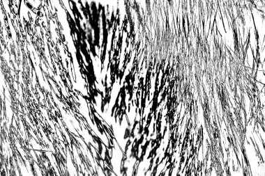 Altın ve kahverengi kürk dokusu arkaplanı