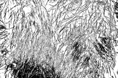 Altın ve kahverengi kürk dokusu arkaplanı